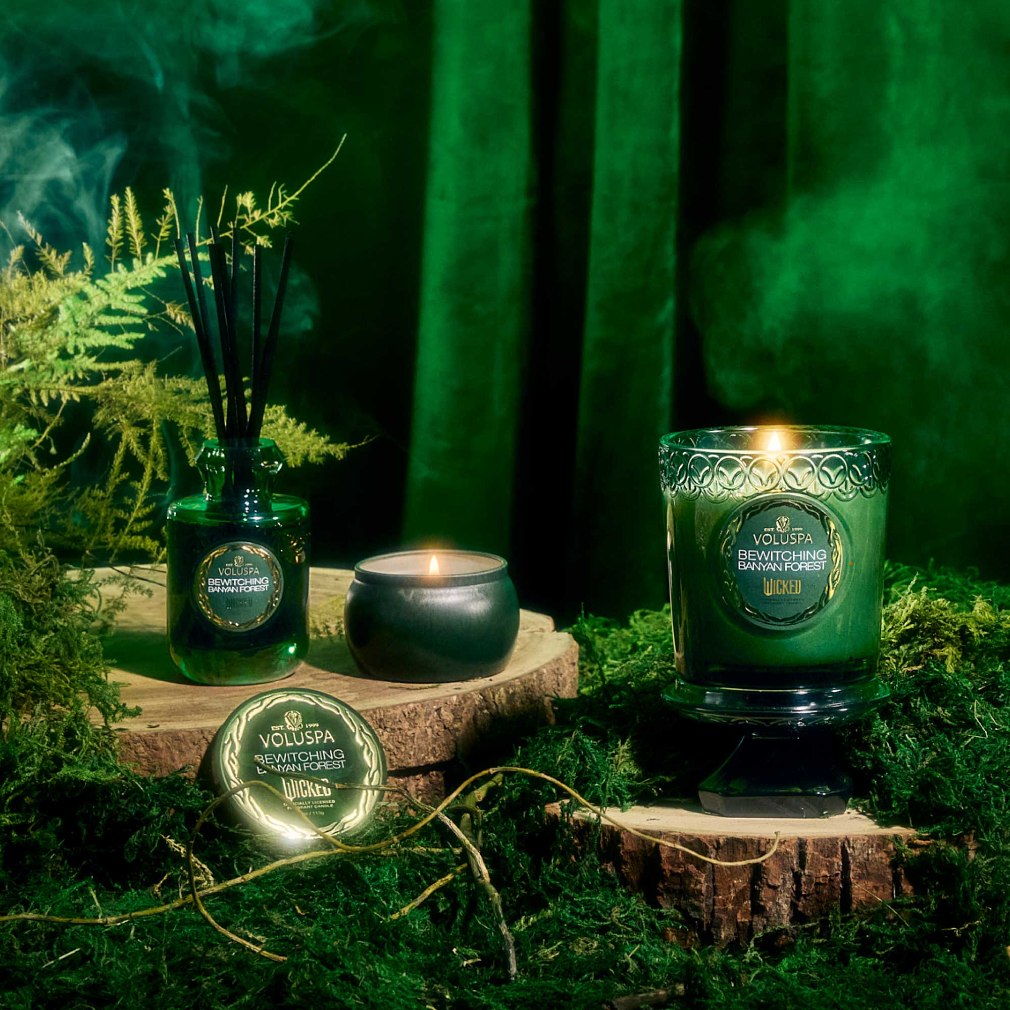 Bewitching Banyan Forest - Boxed Candle - Image 4