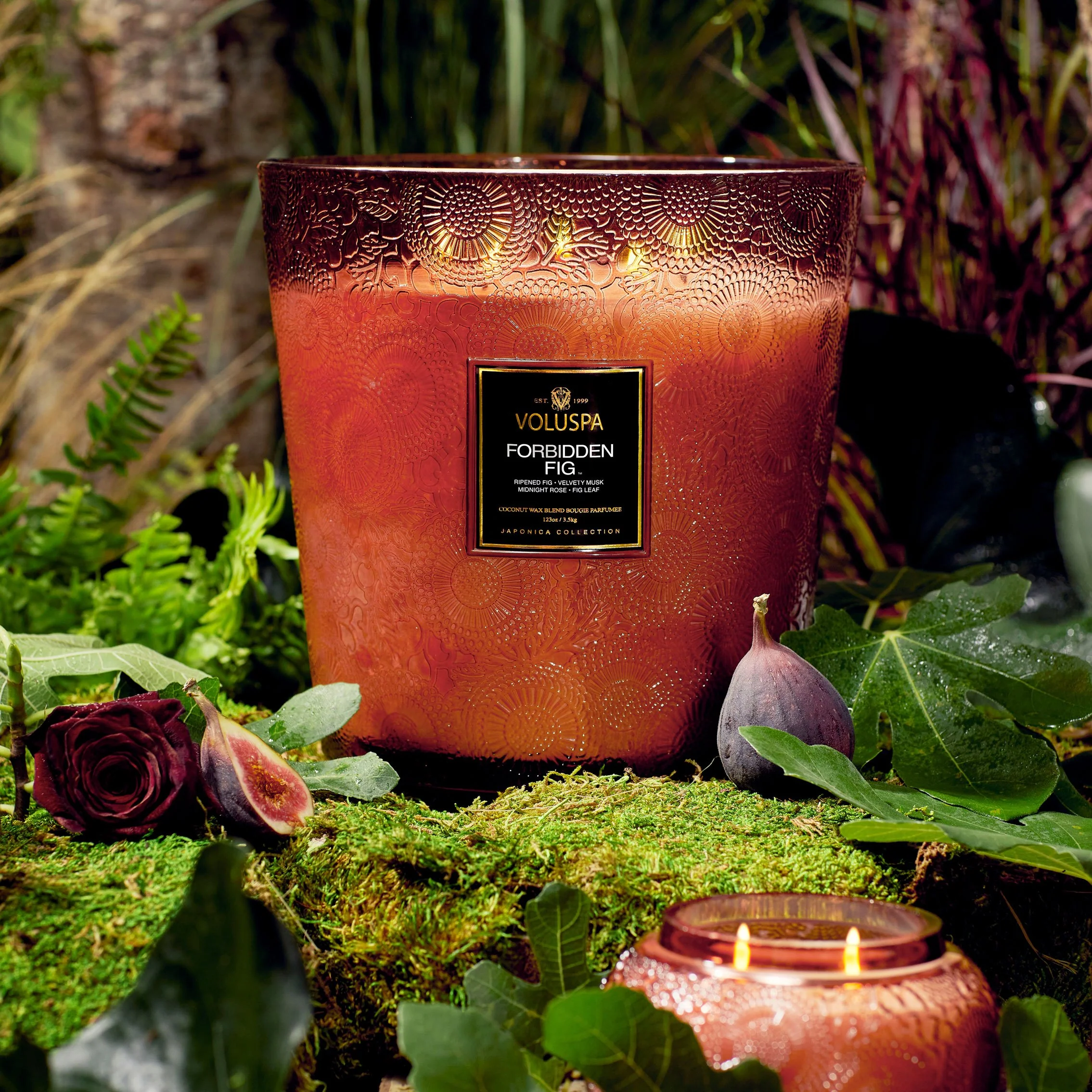 Forbidden Fig - 5 Wick Hearth Candle - Image 5