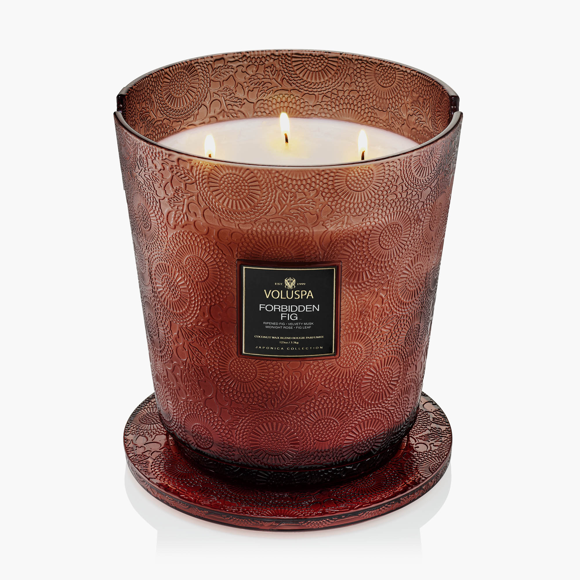 Forbidden Fig - 5 Wick Hearth Candle - Image 6